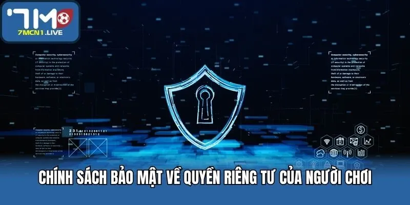 Chính sách bảo mật về quyền riêng tư của người chơi