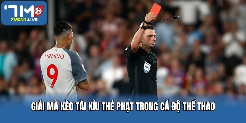 Giải mã kèo tài xỉu thẻ phạt trong cá độ thể thao
