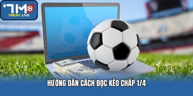 Cách đọc kèo chấp 1/4 là gì?